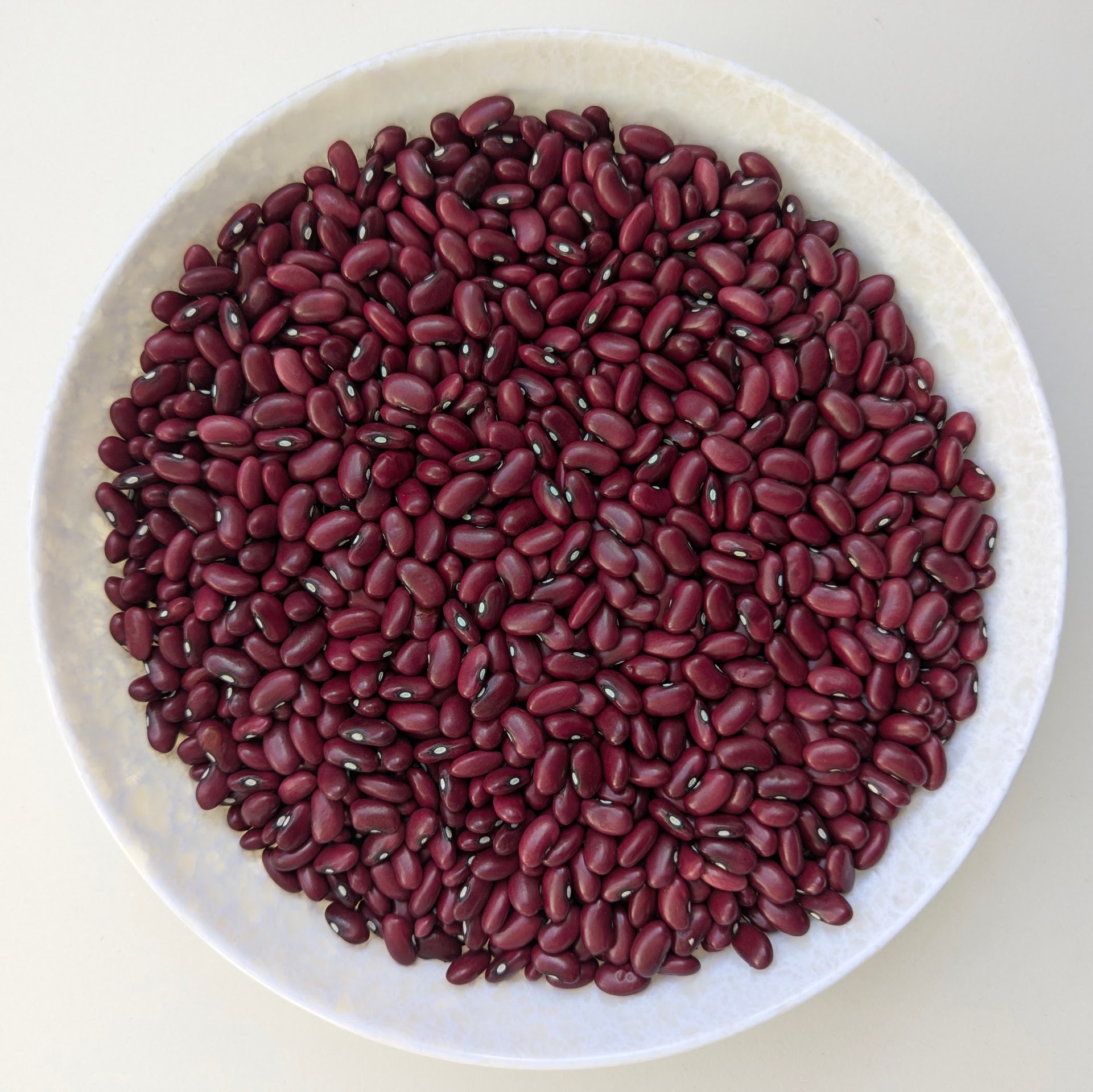 Red Kidney Bean Wolkite (SER 125)